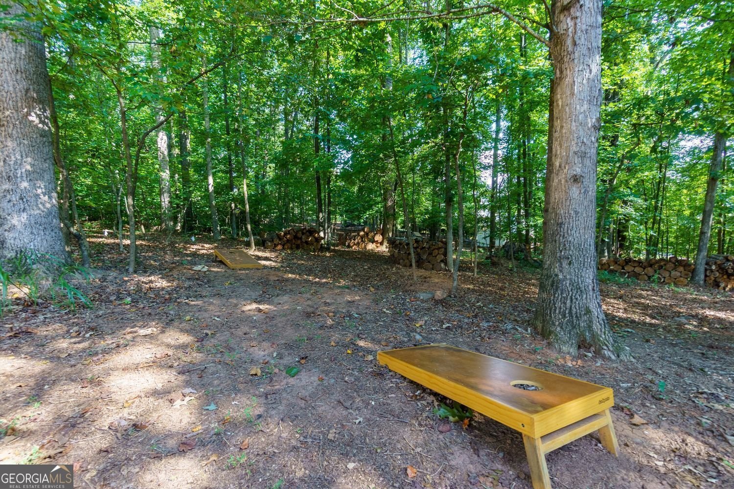 201 Glenrise Court Woodstock - 60