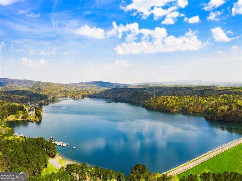 181 Delaney Pine Drive Waleska - 16