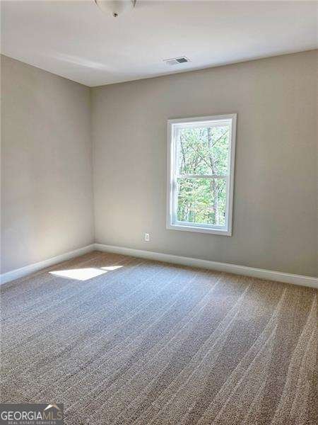 181 Delaney Pine Drive Waleska - 9