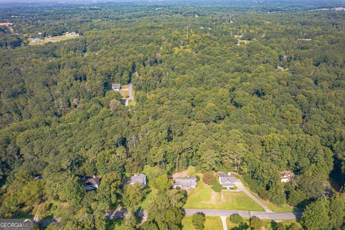 126 Junaluska Drive Woodstock - 52