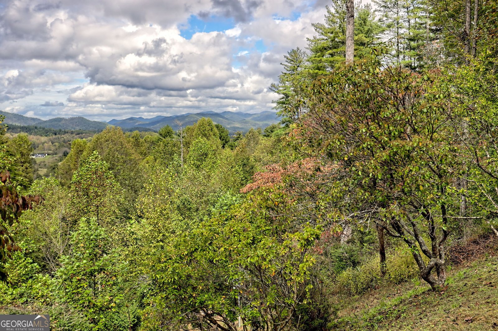 52 Lucky Lane Rabun Gap - 19