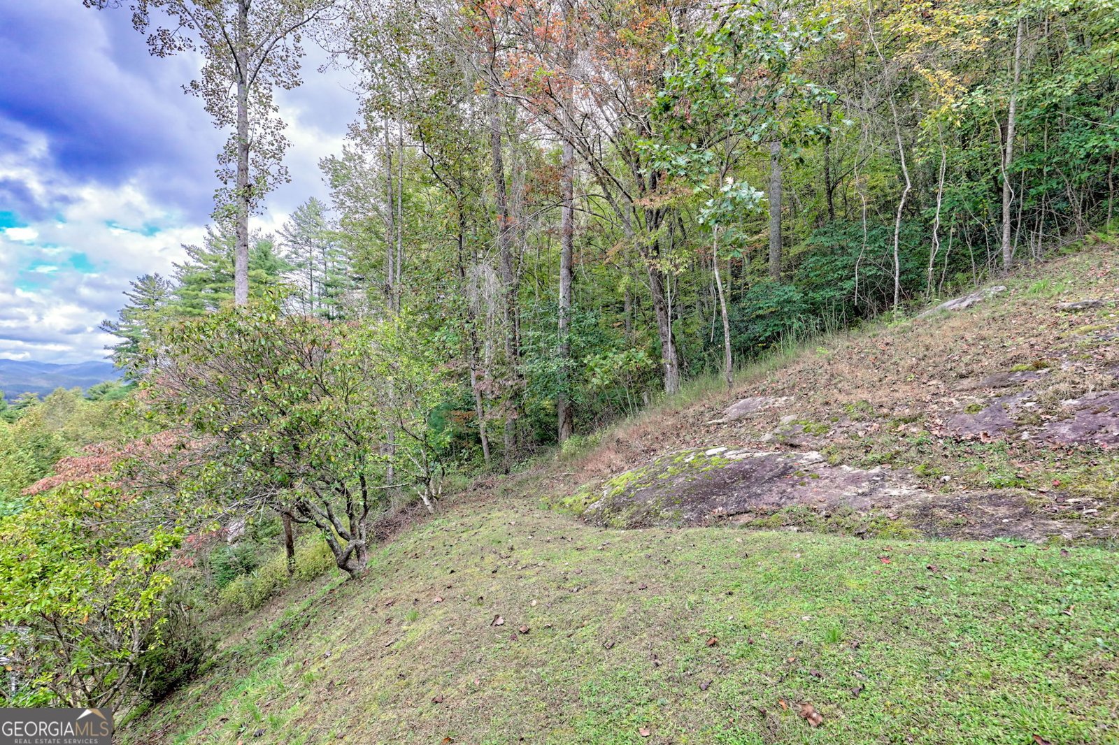 52 Lucky Lane Rabun Gap - 42