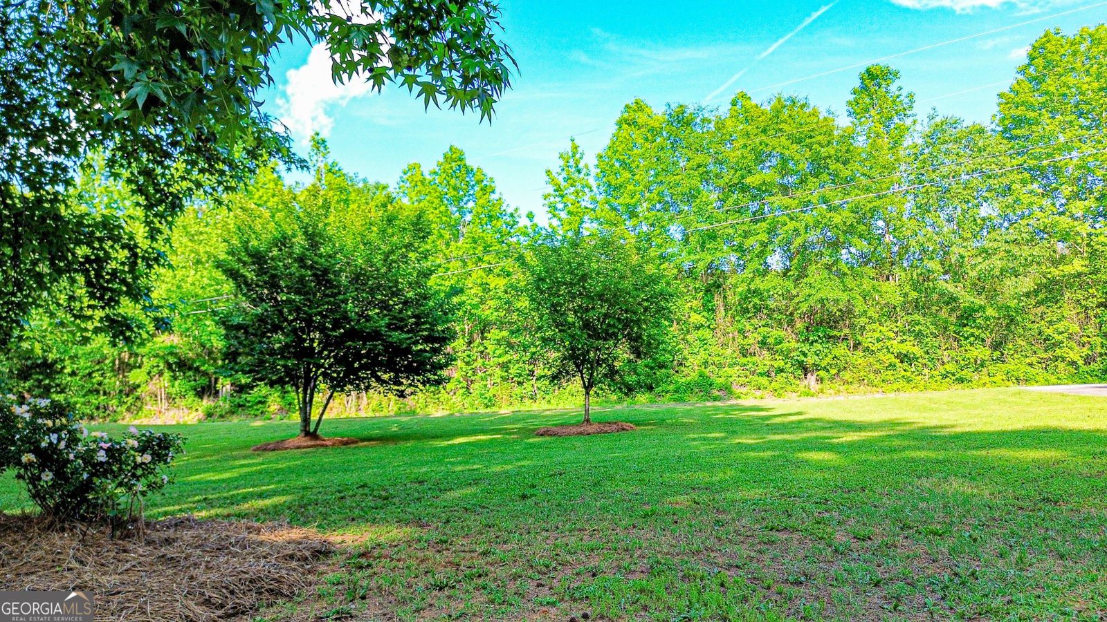 530 Austin Drive McDonough - 34