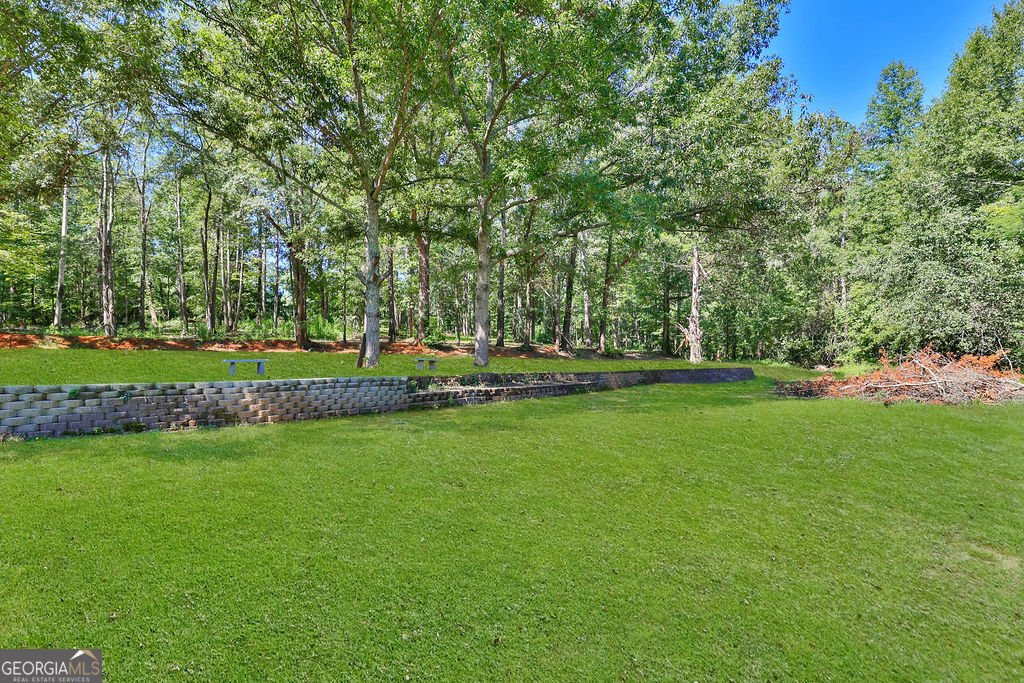 3525 Ebenezer Road Conyers - 21