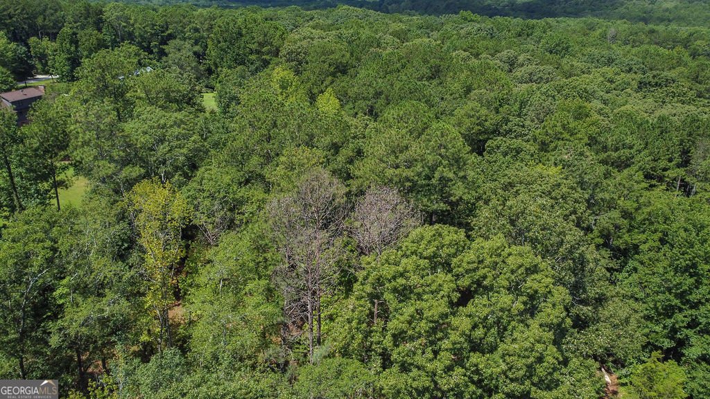 3525 Ebenezer Road Conyers - 23