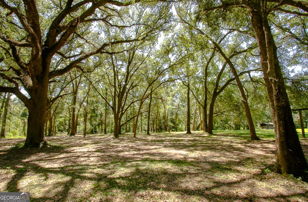 611 Pearl Street Collins - 44