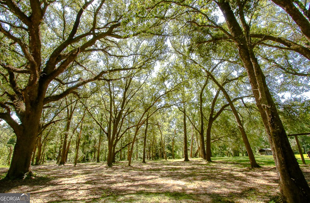 611 Pearl Street Collins - 45