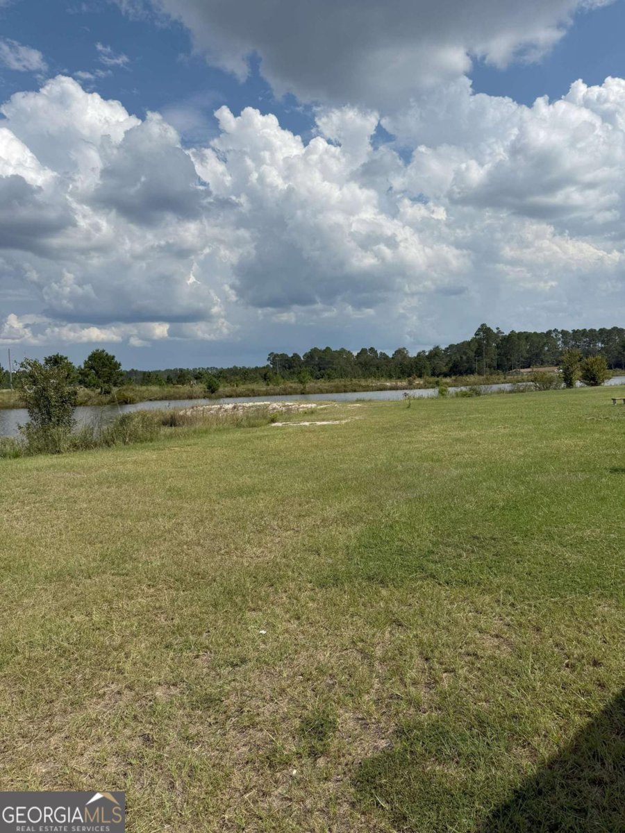 228 Zoarbella Drive Baxley - 3