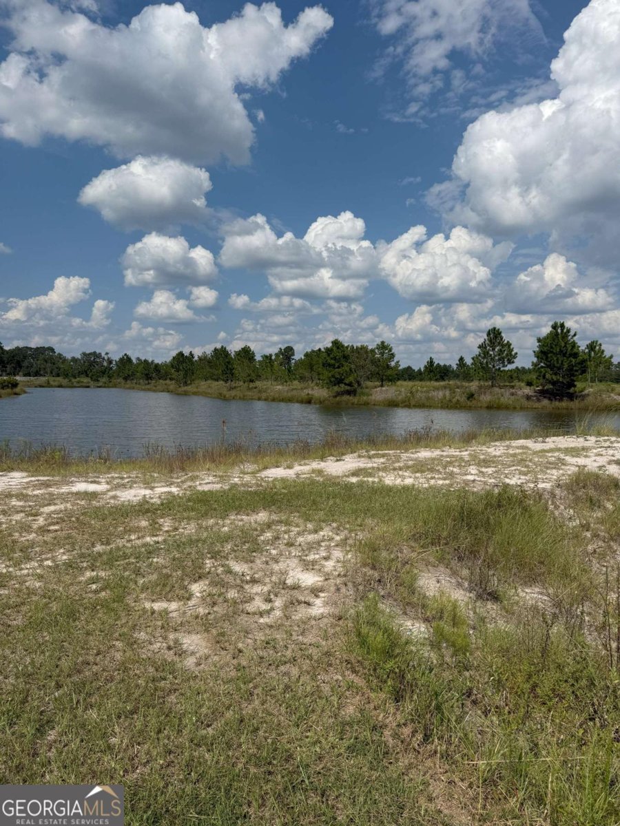 228 Zoarbella Drive Baxley - 5