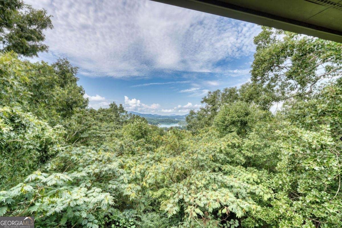 343 Dan Knob Drive Hayesville - 39