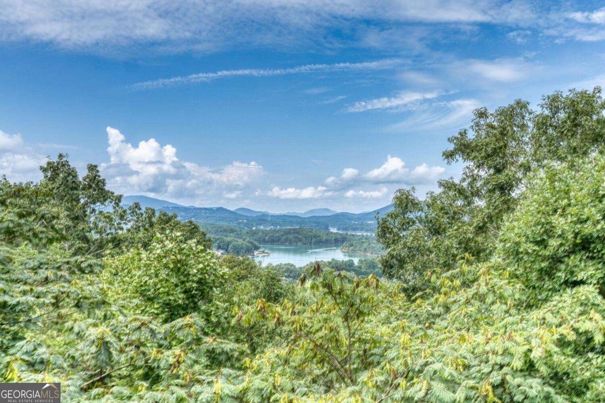 343 Dan Knob Drive Hayesville - 40