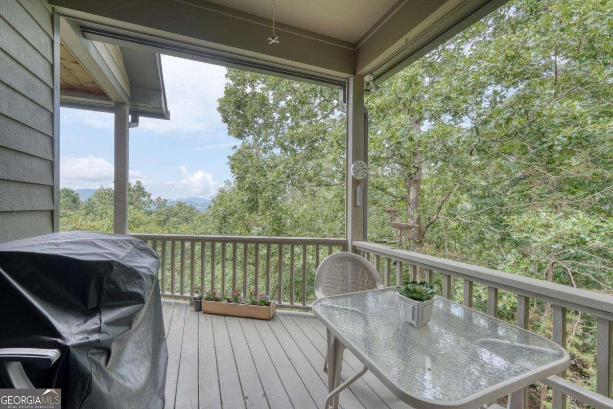 343 Dan Knob Drive Hayesville - 44