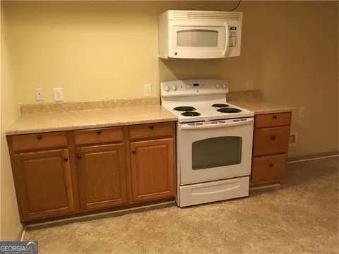 2183 CHAPARRAL Drive Snellville - 19