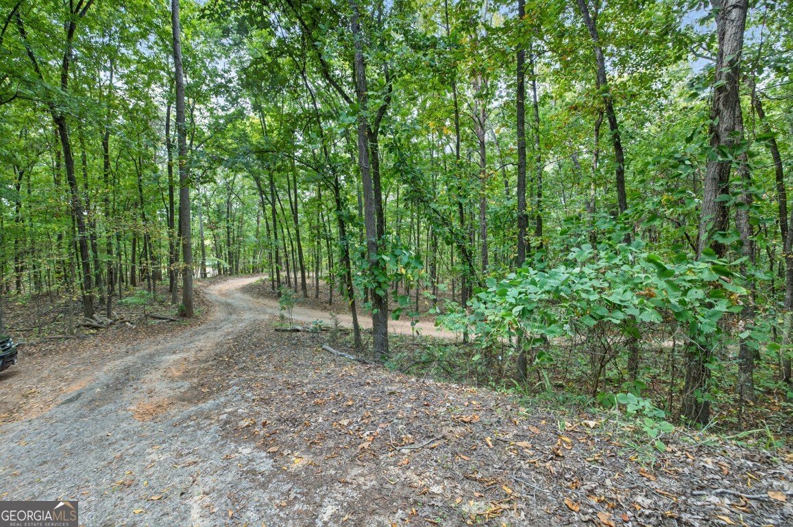 256 Robin Hood Lane Fairmount - 40