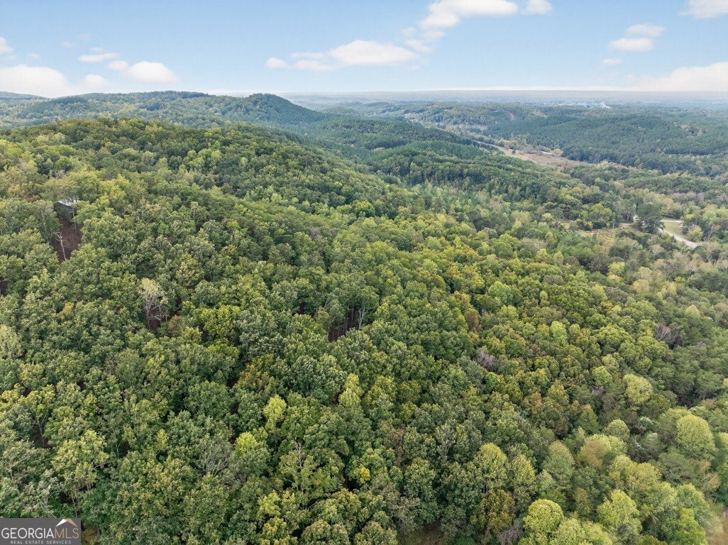 256 Robin Hood Lane Fairmount - 54