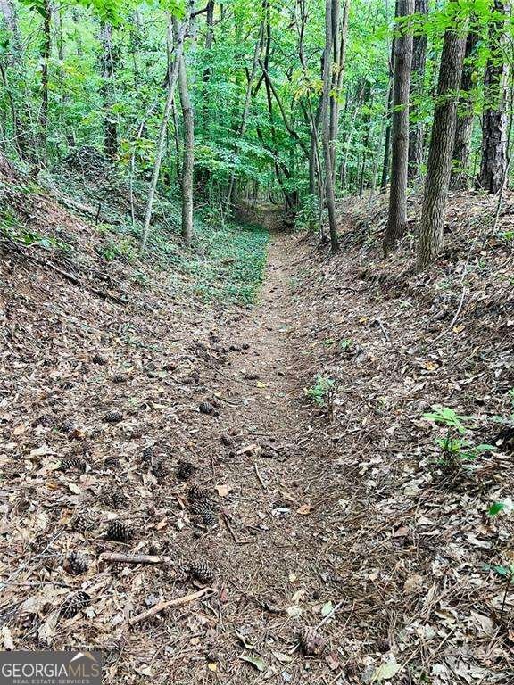 3115 Beechwood Drive Marietta - 79