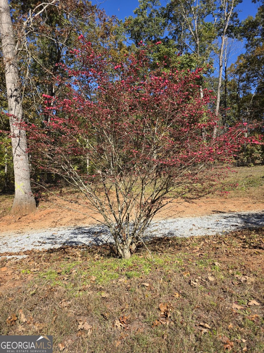 166 Timberlane Drive Danielsville - 51