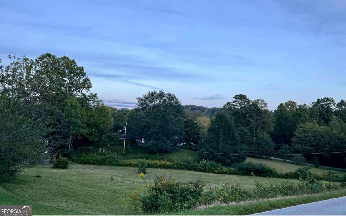 0 Church Street Blue Ridge - 5