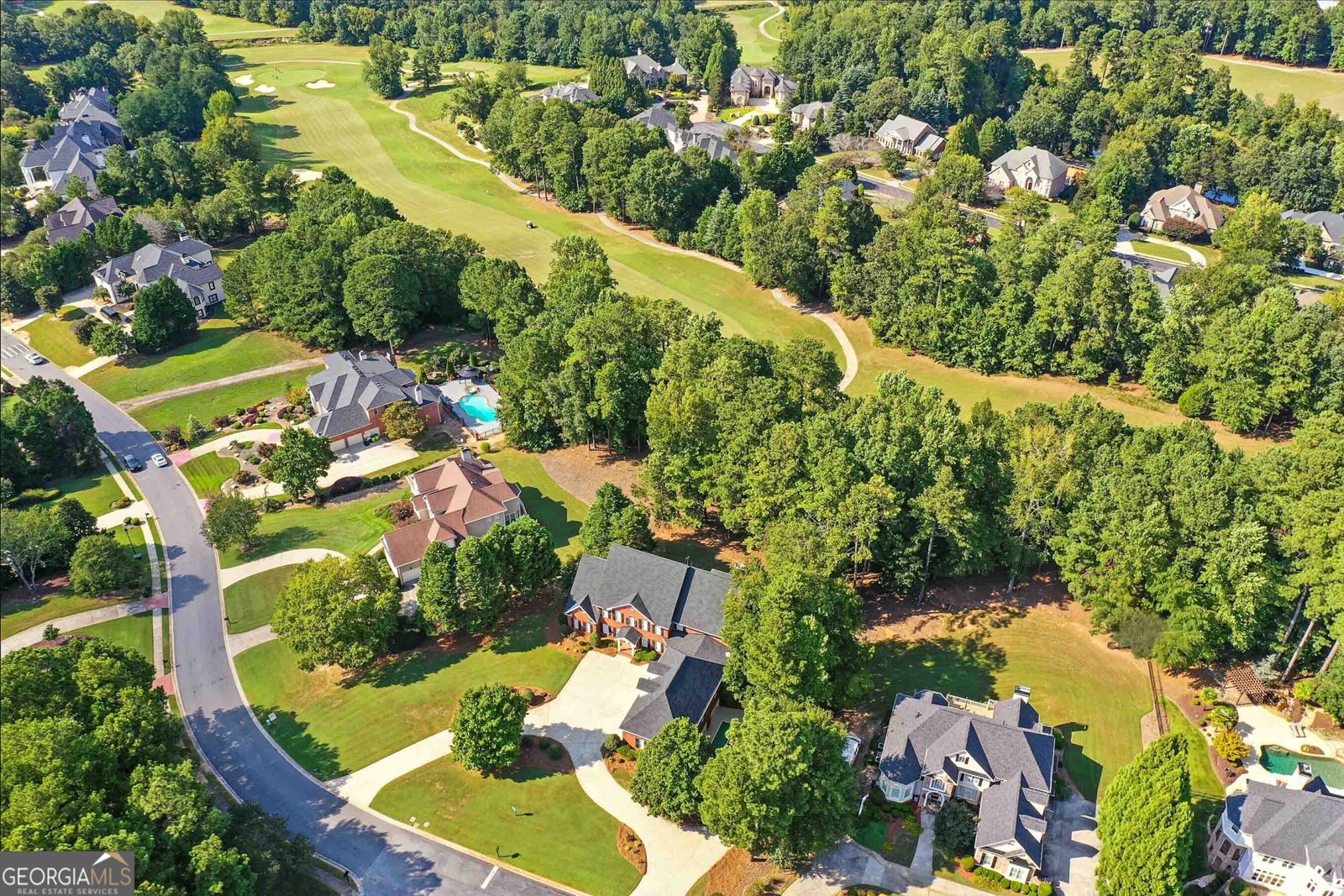 219 Eagles Landing Way McDonough - 2