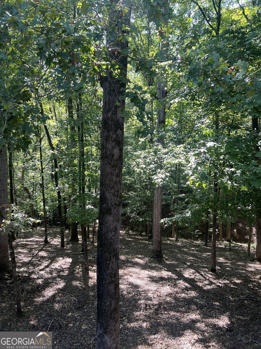 55 Green Oak Circle Thomaston - 24