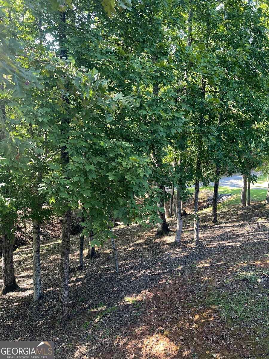 55 Green Oak Circle Thomaston - 25