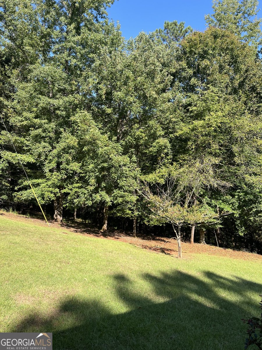 55 Green Oak Circle Thomaston - 28