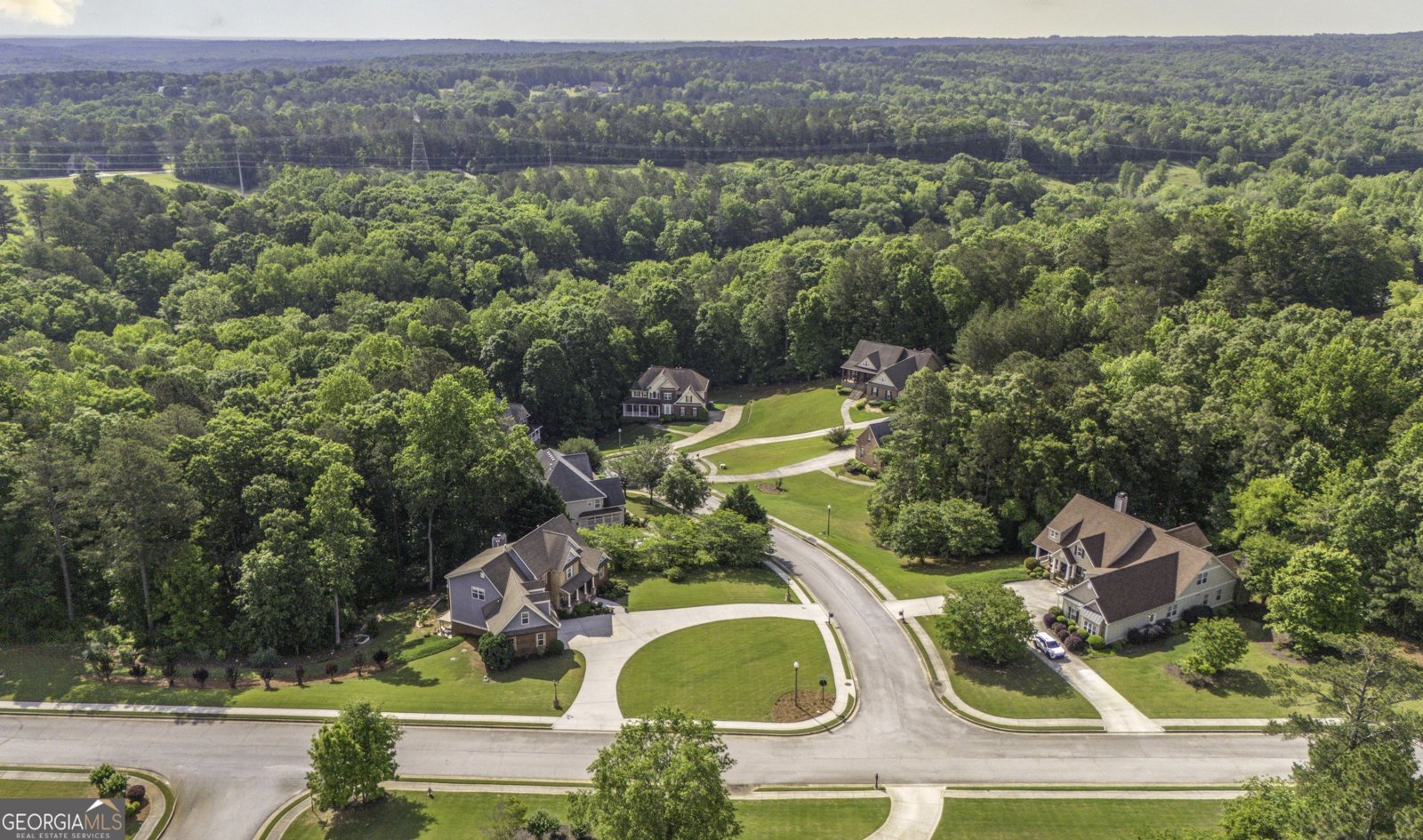 9742 Fallview Court Villa Rica - 4
