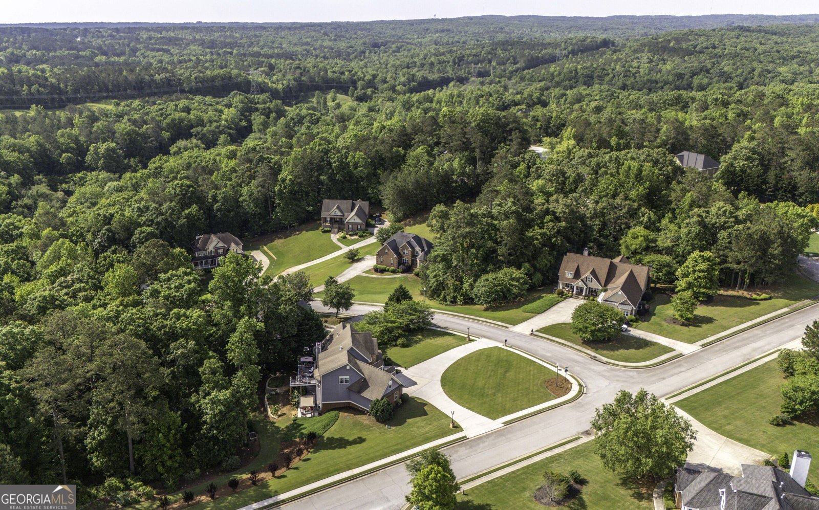 9742 Fallview Court Villa Rica - 5