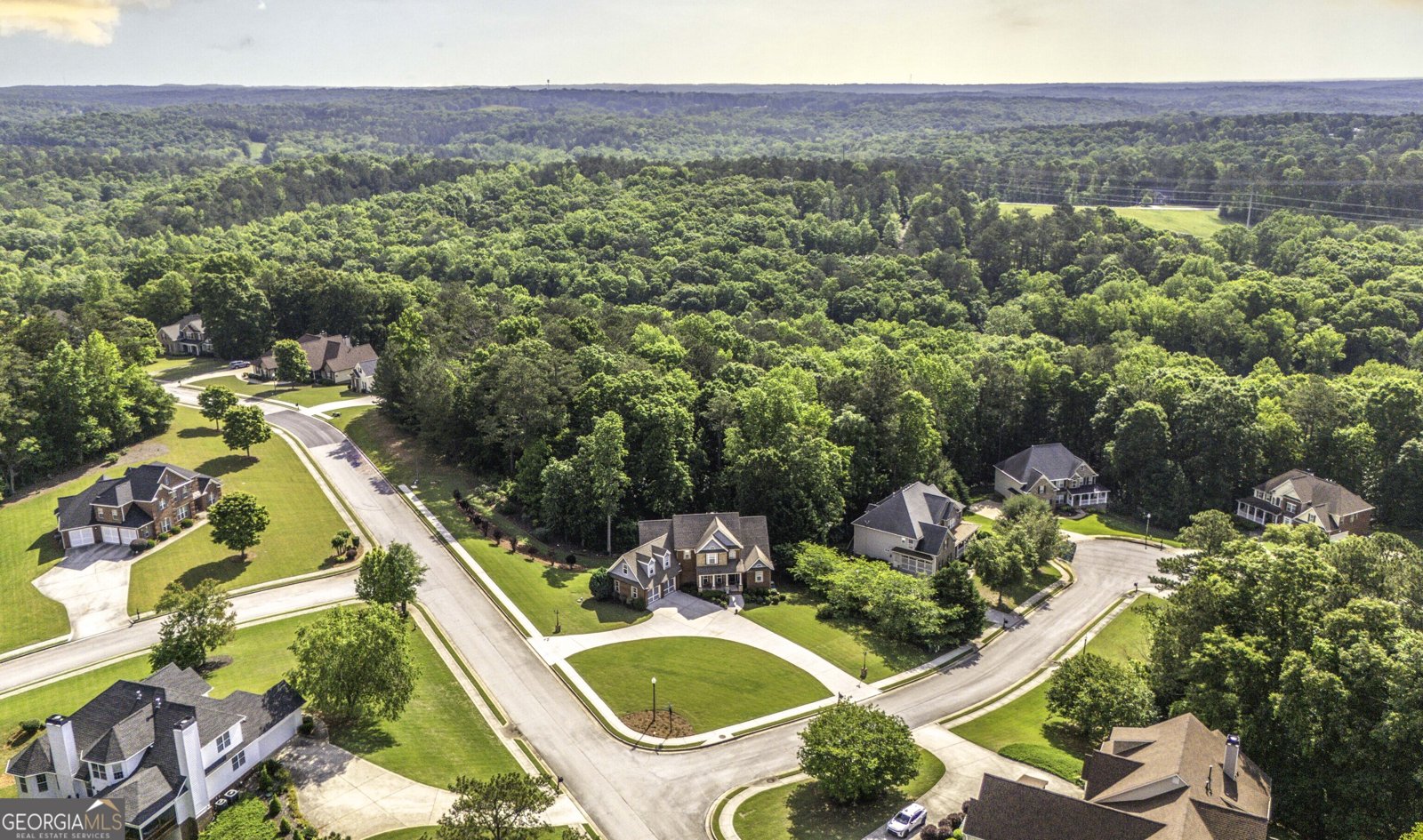 9742 Fallview Court Villa Rica - 6