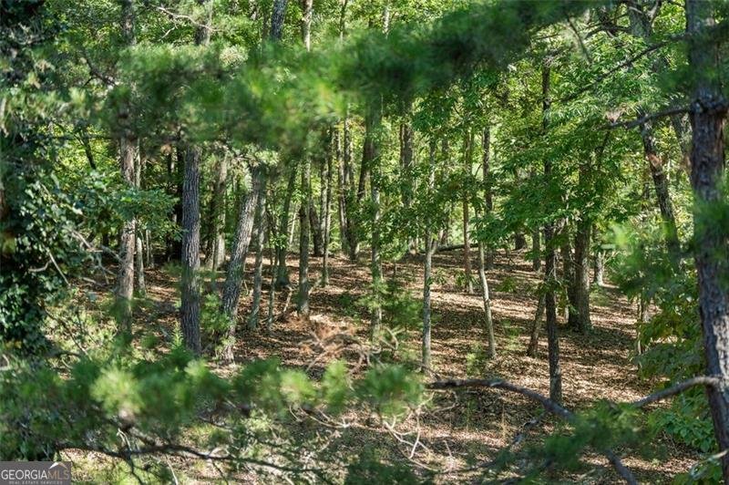 929 Culberson Road Morganton - 10