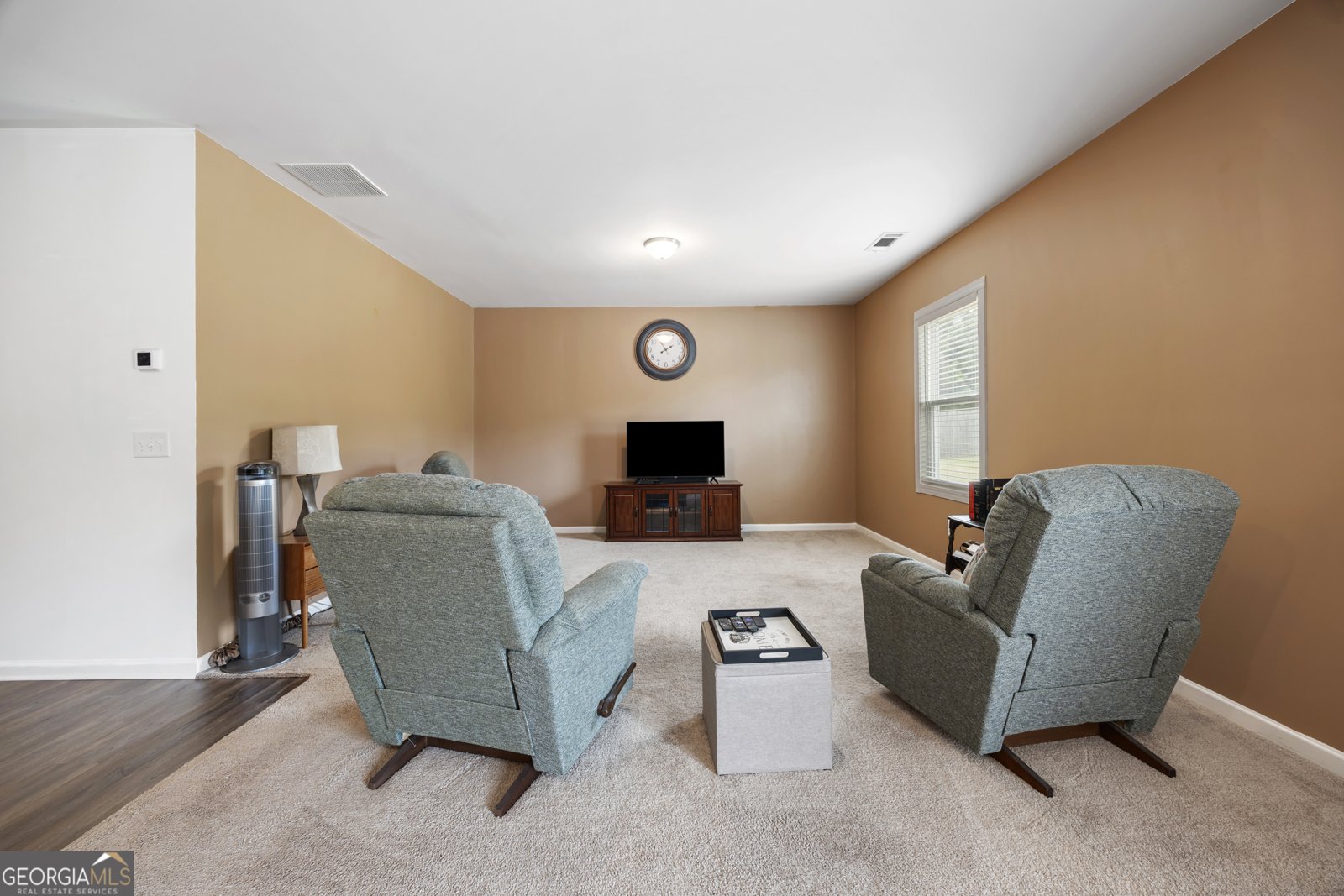 145 Coldwater Way Griffin - 13