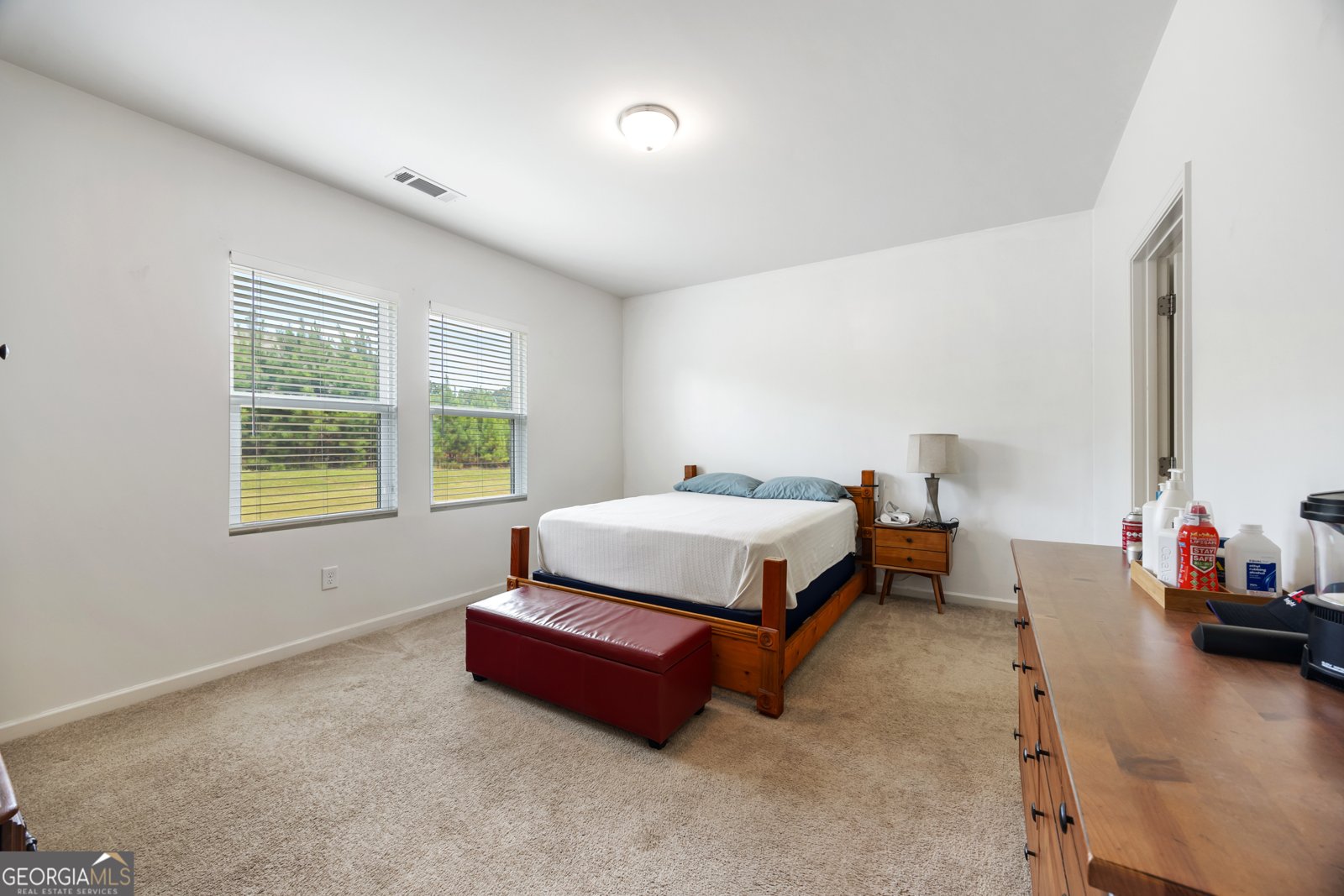 145 Coldwater Way Griffin - 18