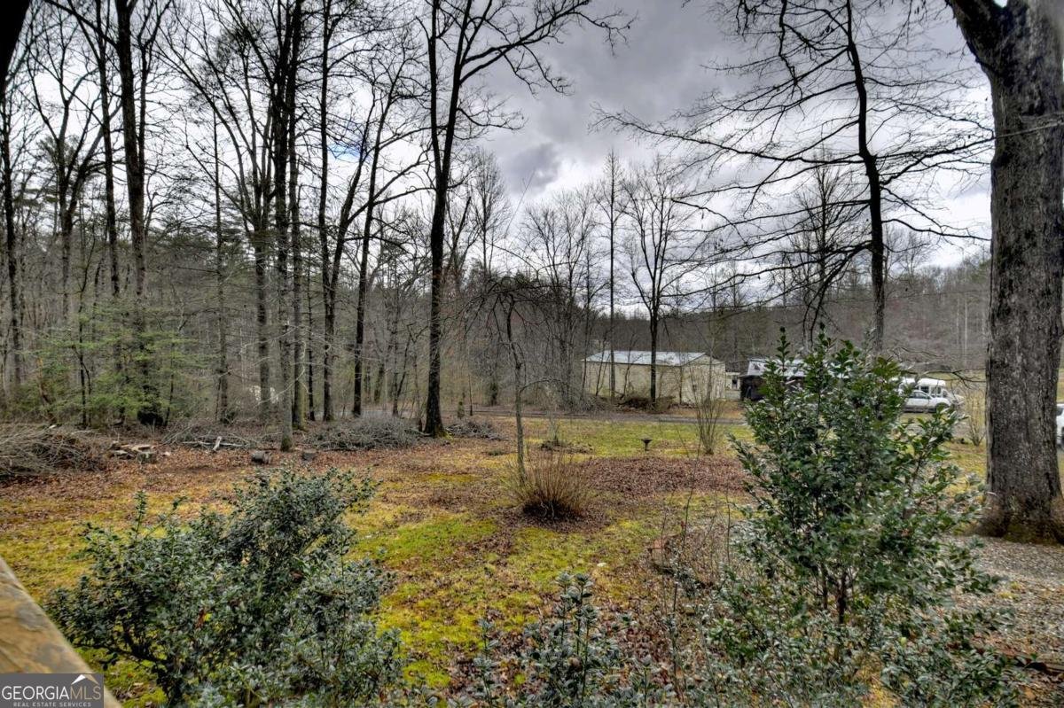 59 Christel & Nathan Lane Blue Ridge - 32