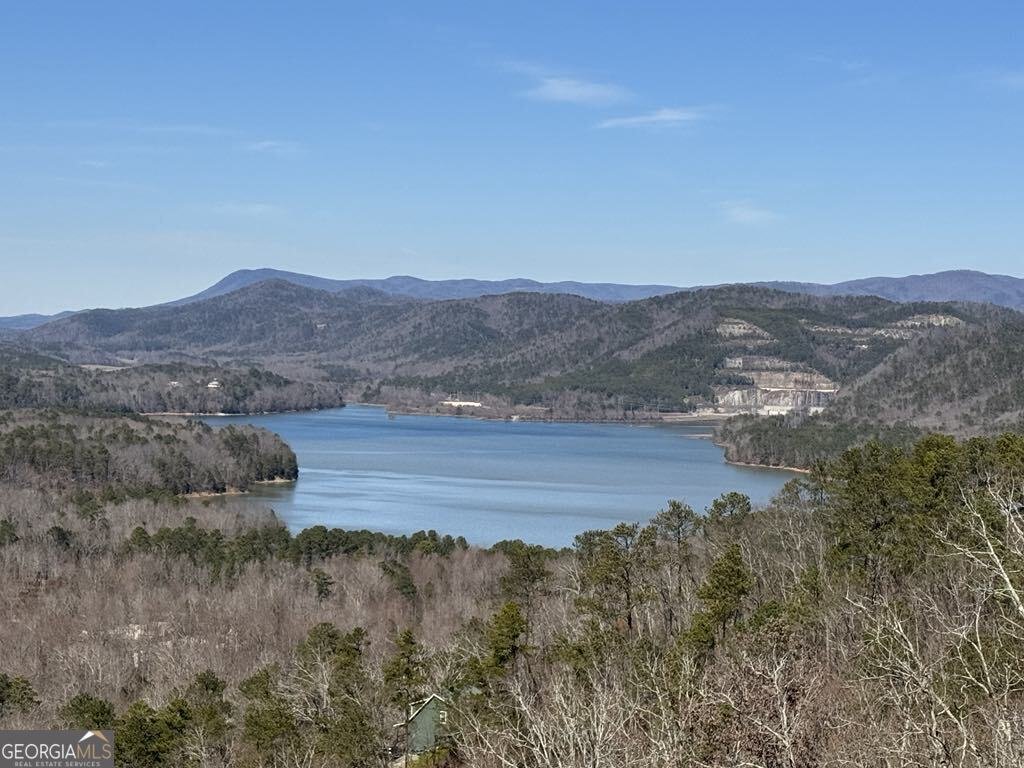 167 Jasmine Drive Ranger - 46