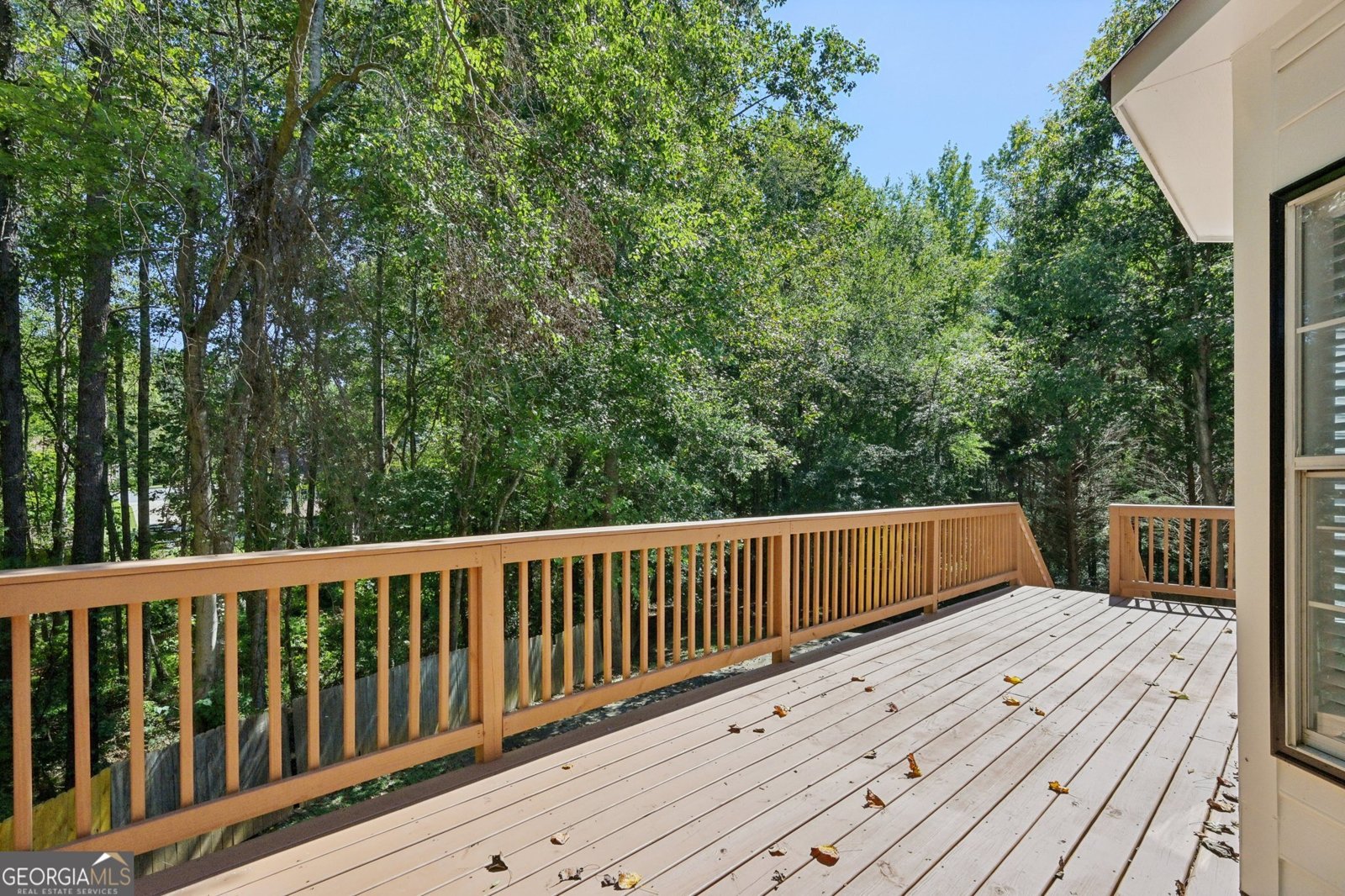 4066 Wedgefield Court Douglasville - 25