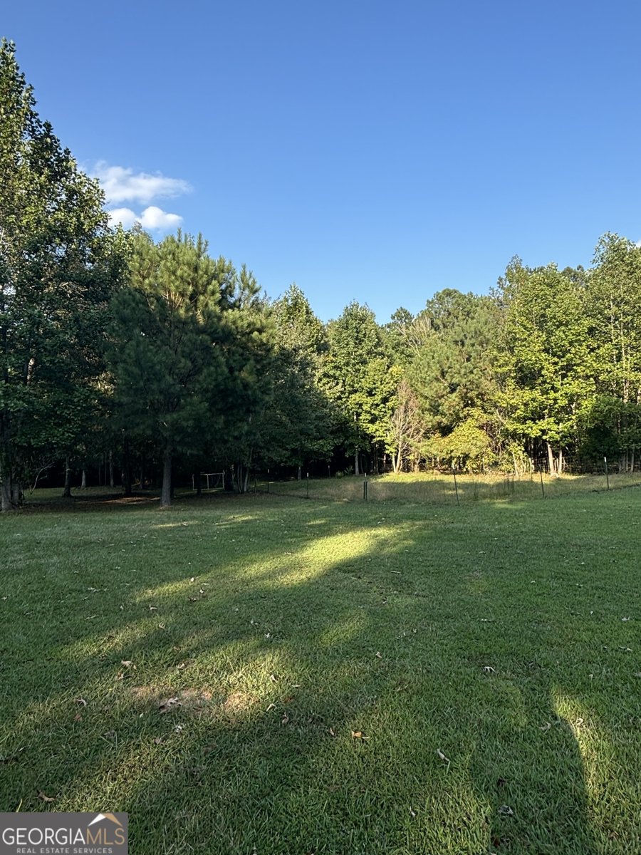 255 Wilson Road Luthersville - 18