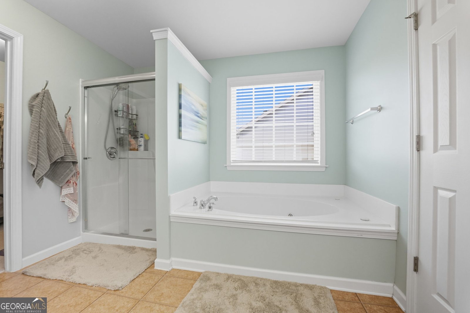 1497 Kilchis Falls Way Braselton - 36