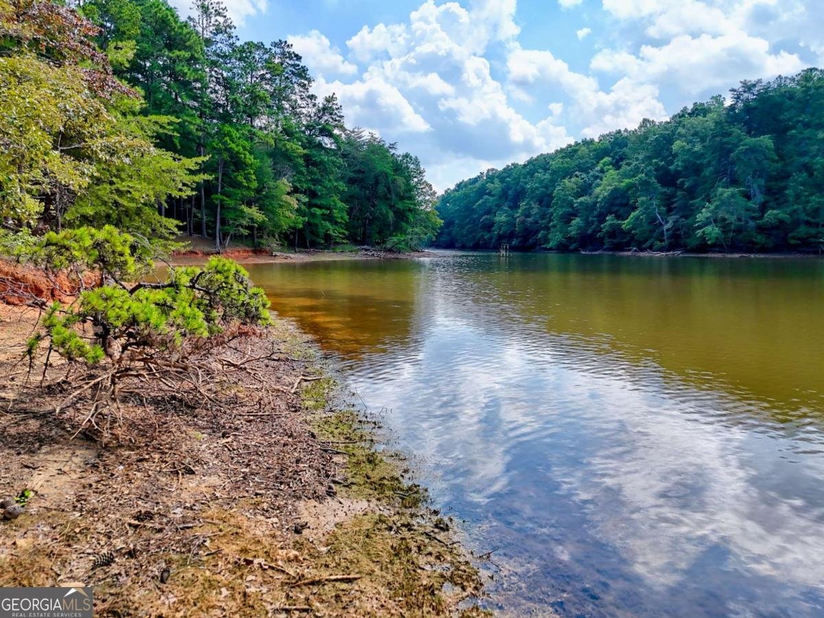 6449 Snelling Mill Road Flowery Branch - 85
