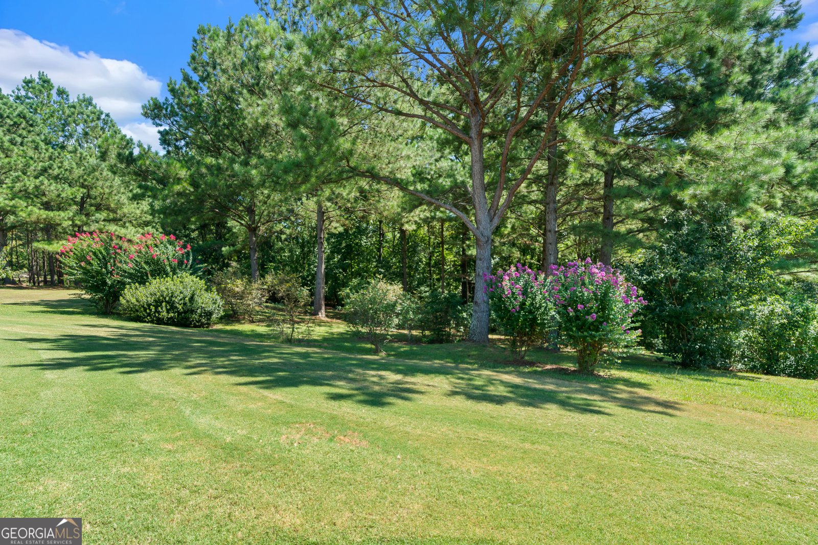 136 Fortville Road Gray - 62