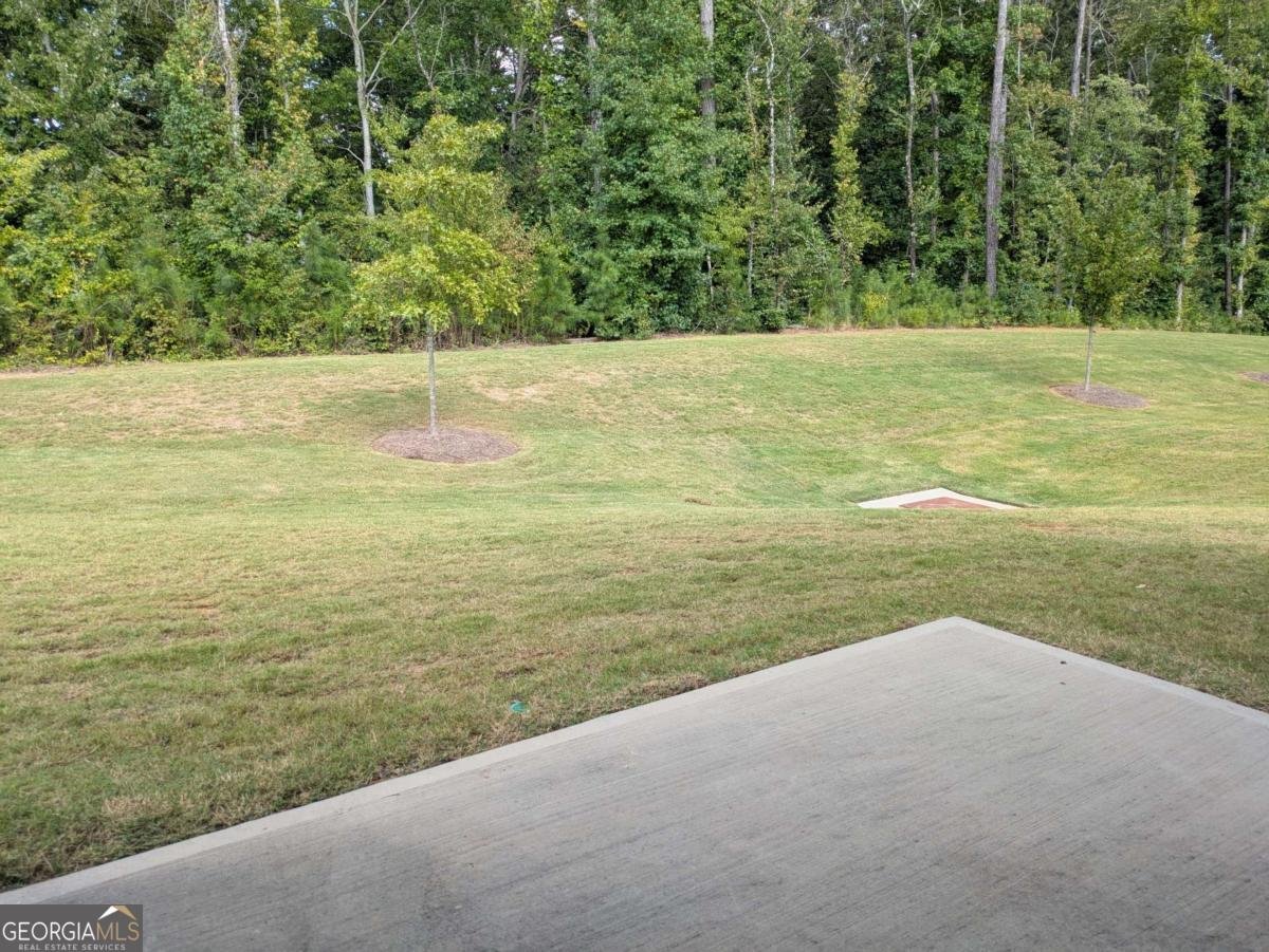 2459 Richmond Row Drive Suwanee - 14