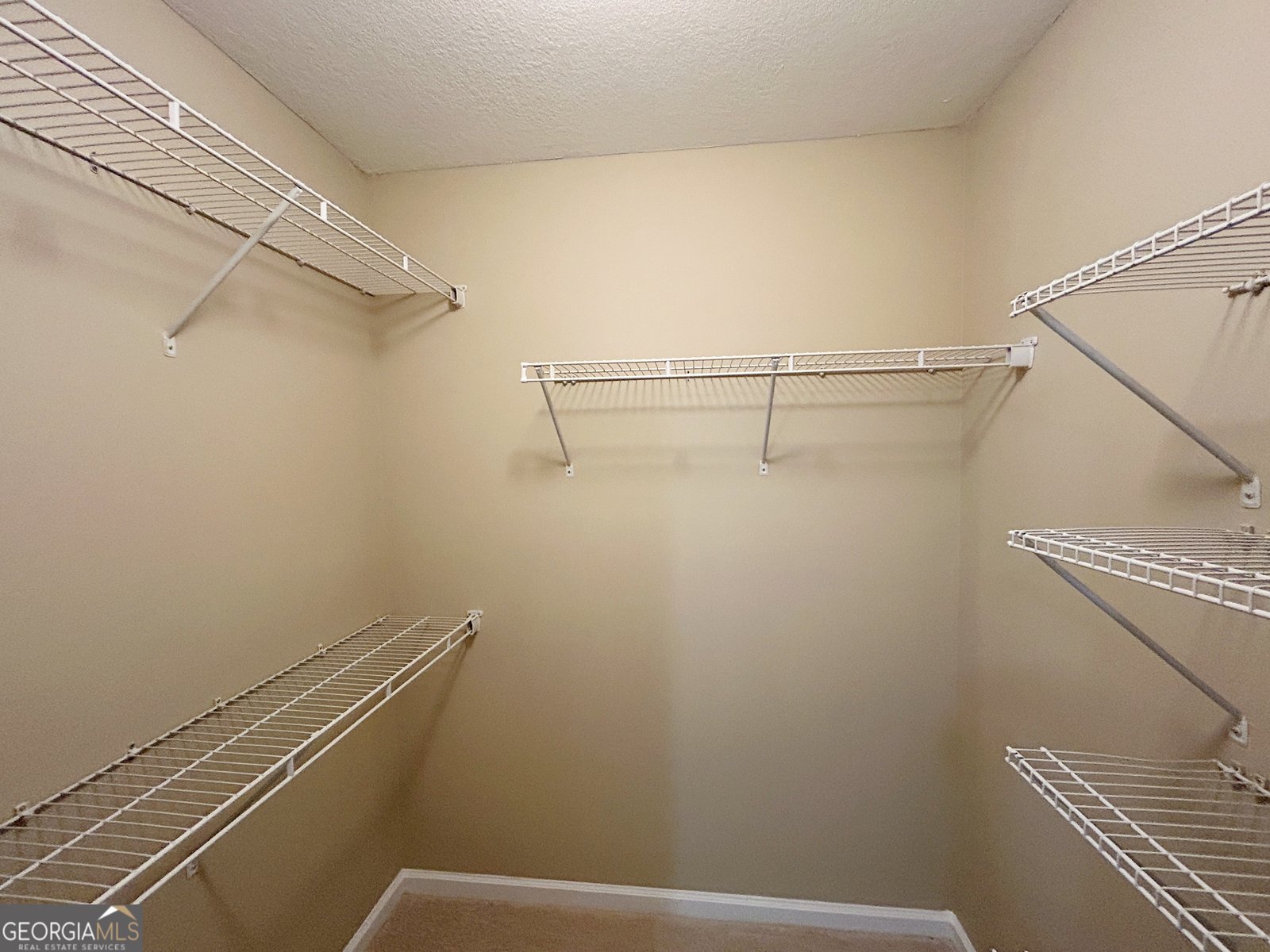 147 Conifer Court Winterville - 11