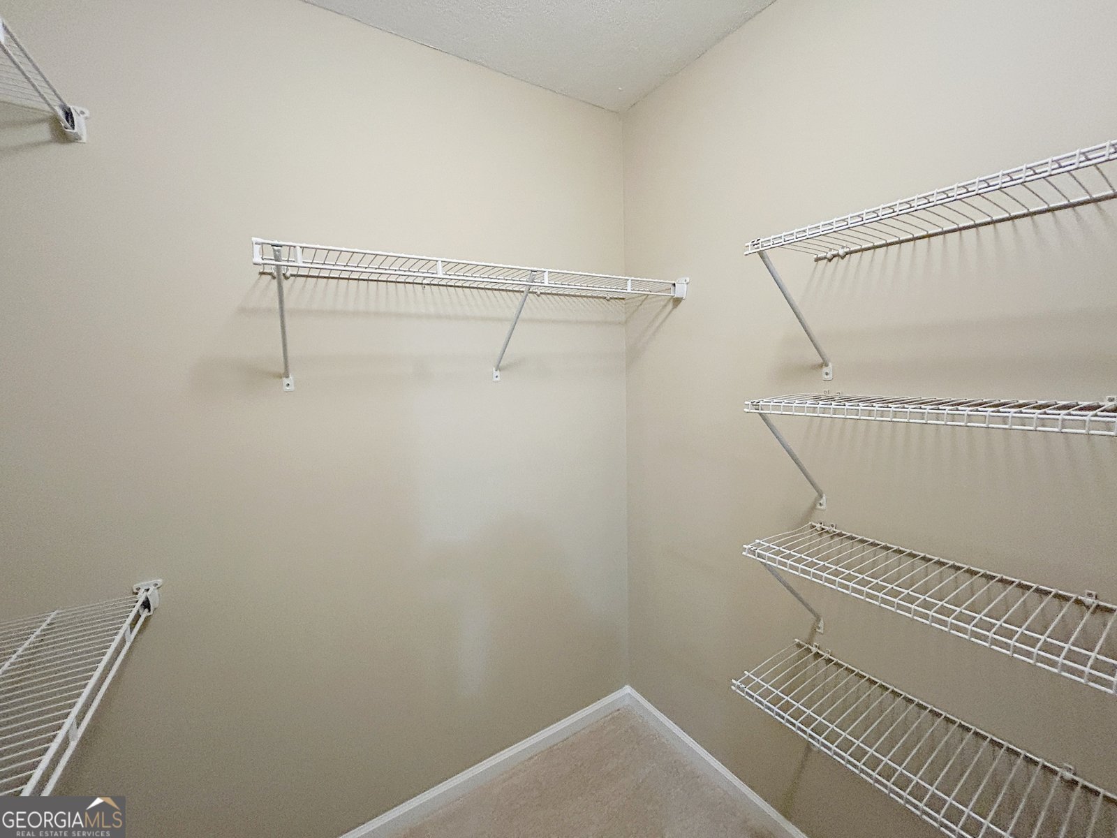 147 Conifer Court Winterville - 12