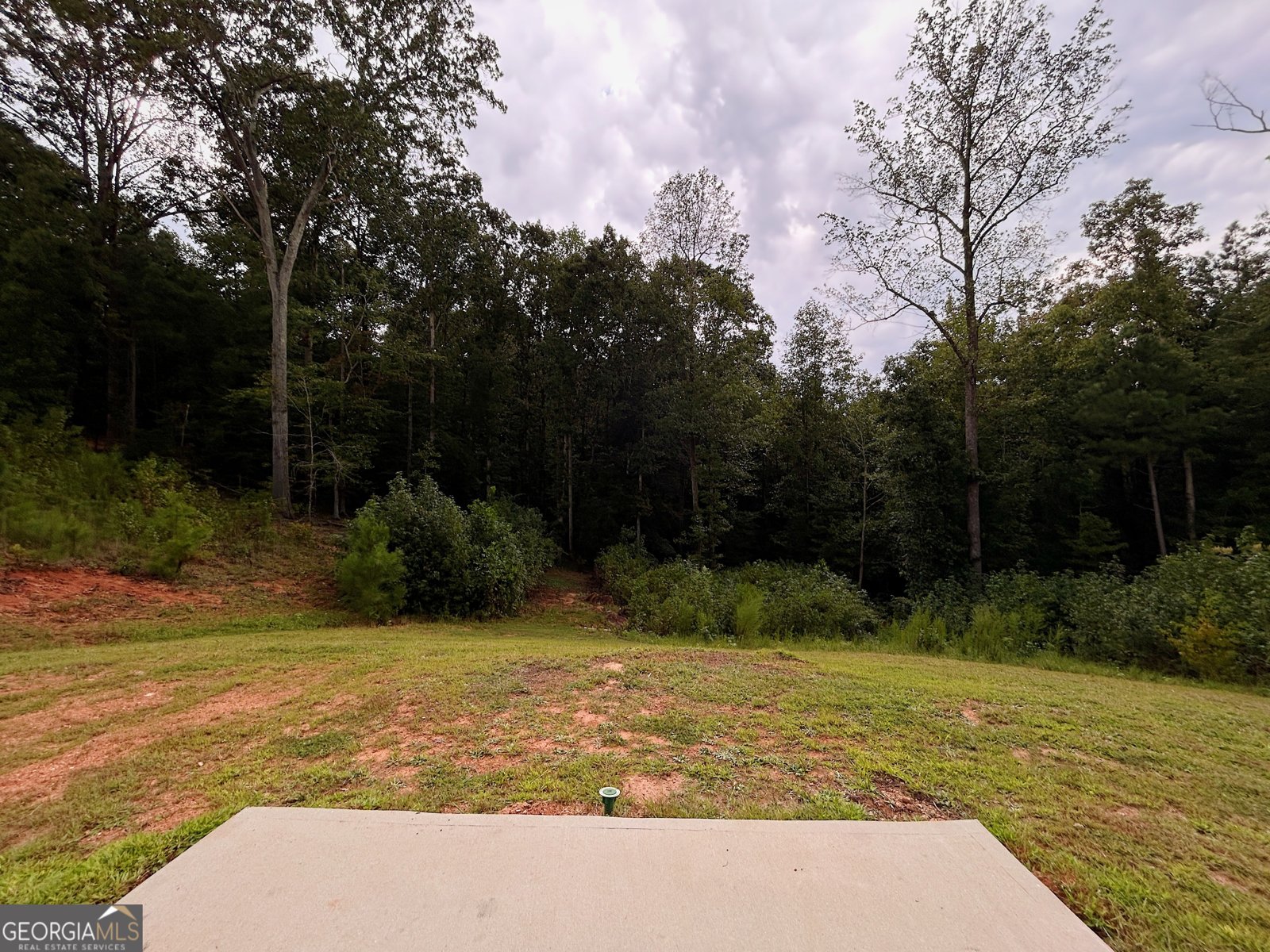 147 Conifer Court Winterville - 22