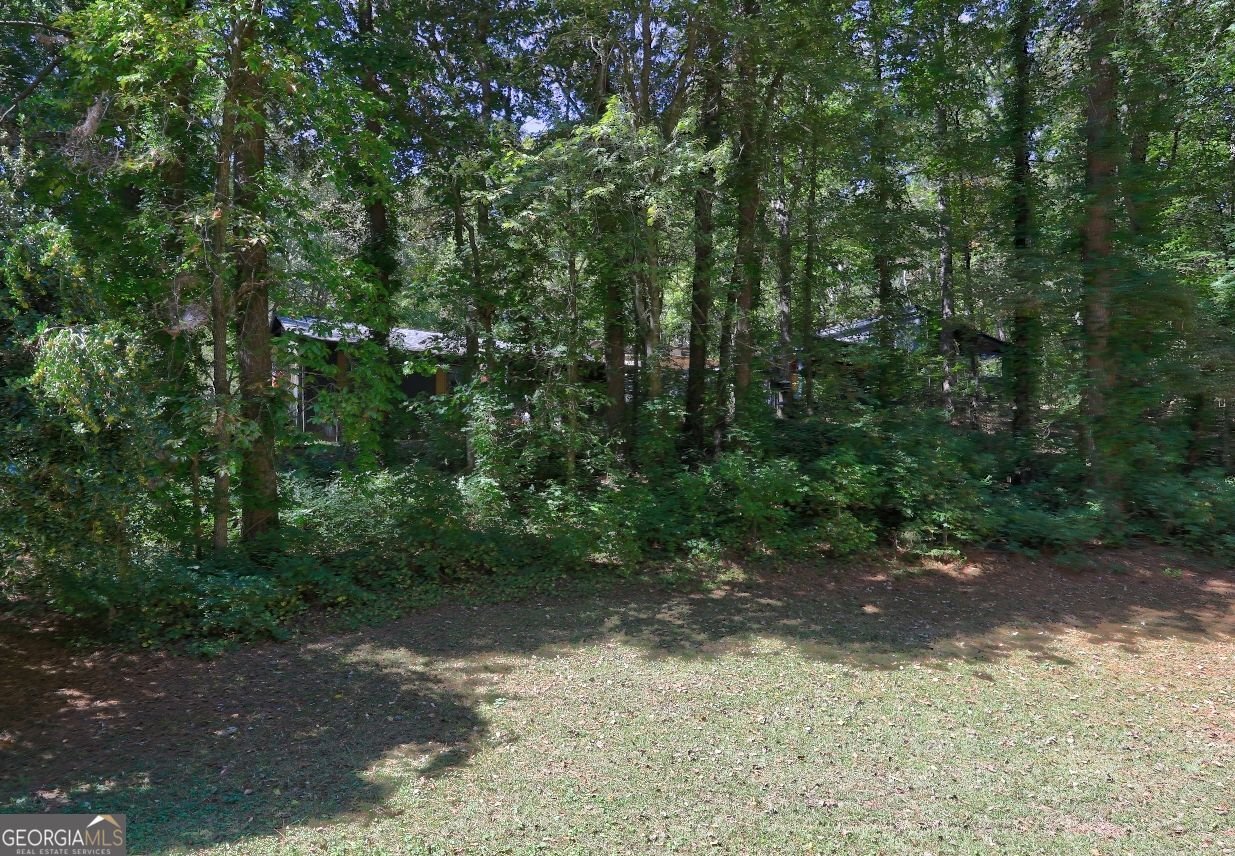 346 DOCK LATHEM Trail Ball Ground - 18