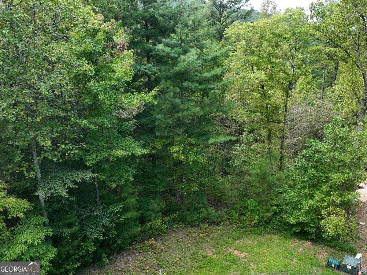 140 Autumn Fern Lane Ellijay - 12
