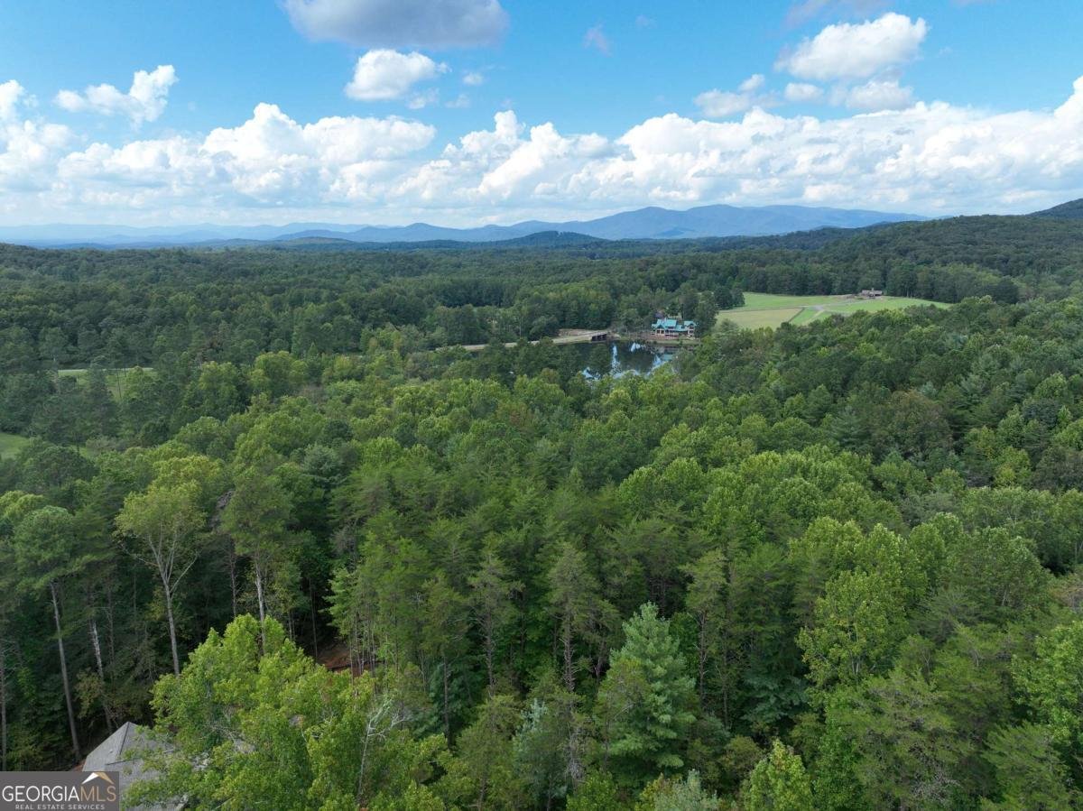 140 Autumn Fern Lane Ellijay - 14