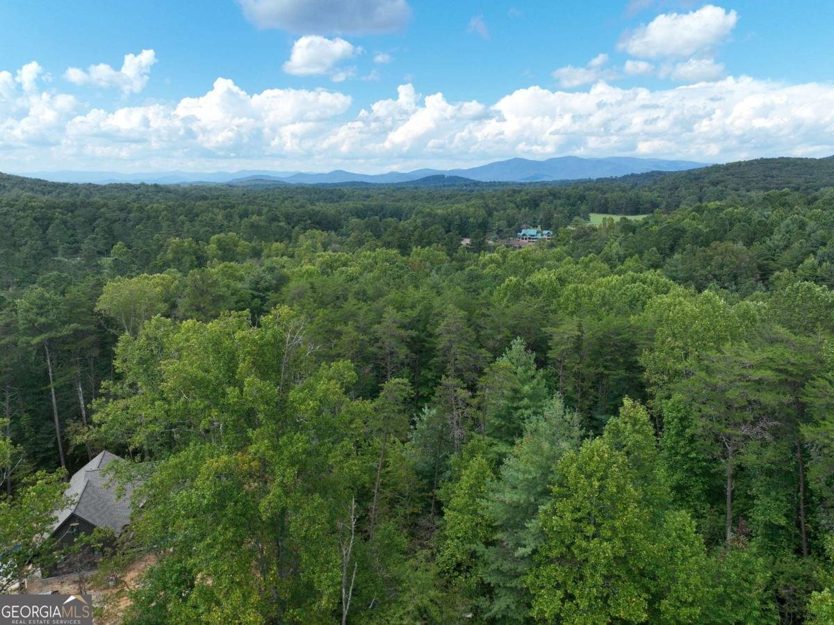 140 Autumn Fern Lane Ellijay - 29