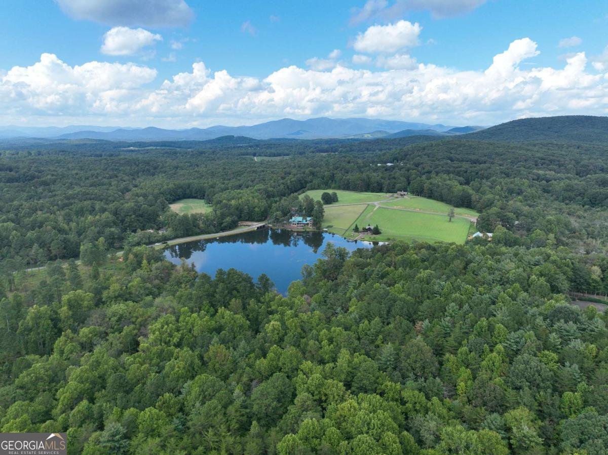 140 Autumn Fern Lane Ellijay - 3