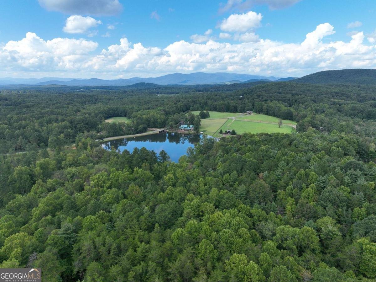 140 Autumn Fern Lane Ellijay - 31