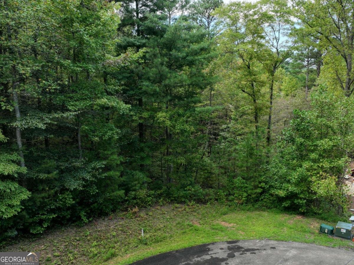 140 Autumn Fern Lane Ellijay - 34